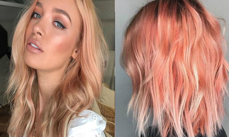 Ontwikkelingen & Trends